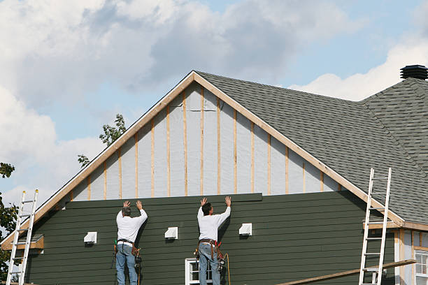 Best Custom Trim and Detailing for Siding  in Mount Vernon, MD